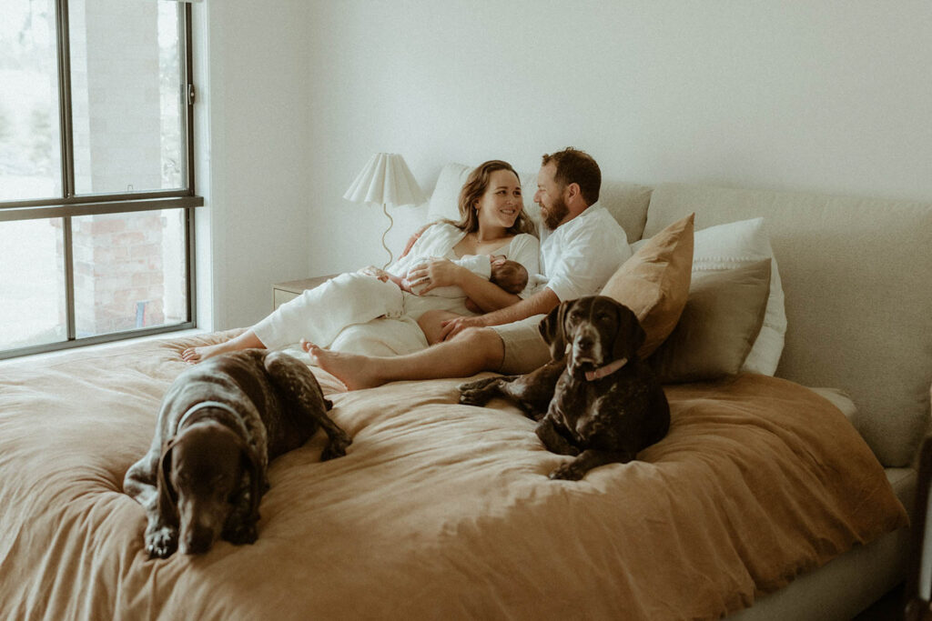 parents of their bed holding their new baby and their 2 dogs are also on the bed